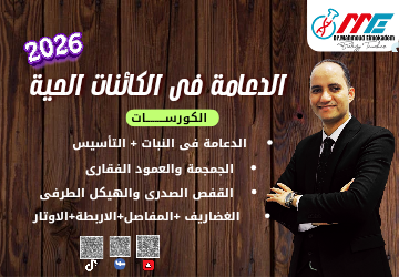 الدعامة فى الكائنات الحية